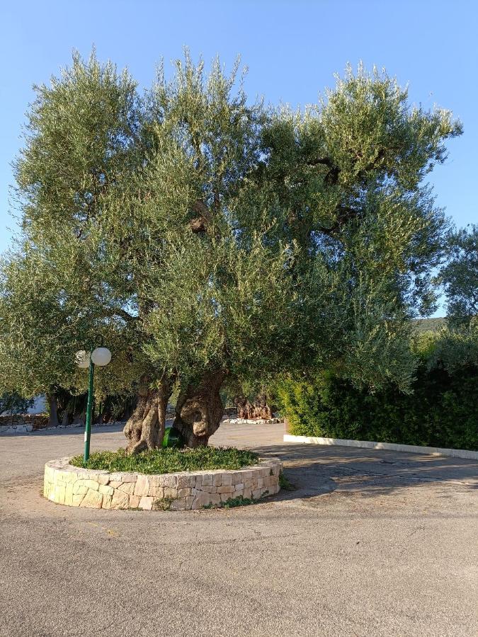 Macchia di Monte Masseria Galleppa By Apulia Hospitality מראה חיצוני תמונה